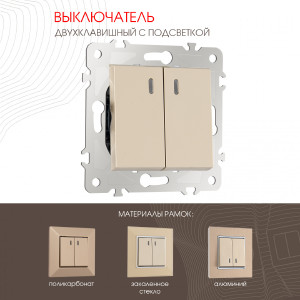 Выключатель Am-203 203.31-2.shampan