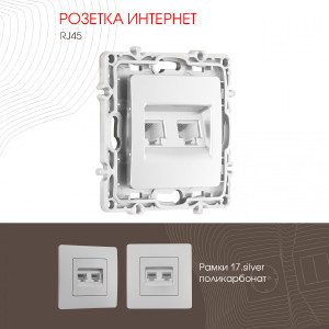 Розетка Am-217 217.45-2.silver