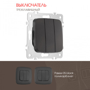 Выключатель Am-205 205.30-3.black