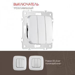 Выключатель Am-205 205.30-3.silver