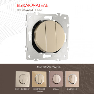 Выключатель Am-202 202.30-3.shampan