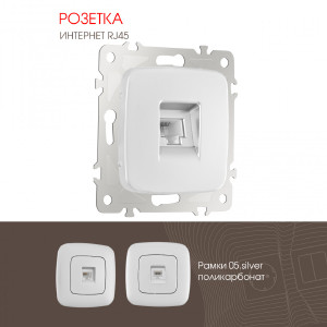 Розетка Am-205 205.45-1.silver