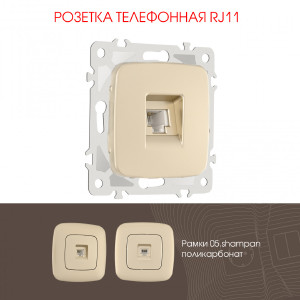 Розетка Am-205 205.51-1.shampan