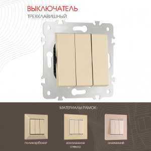 Выключатель Am-203 203.30-3.shampan