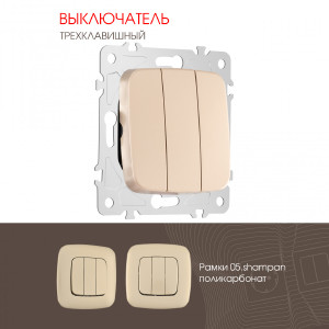 Выключатель Am-205 205.30-3.shampan