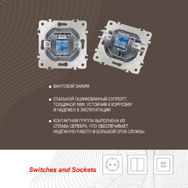 Розетка Am-203 203.51-1.silver