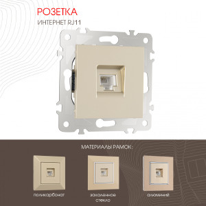 Розетка Am-203 203.51-1.shampan