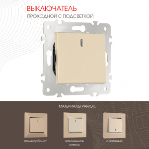 Выключатель Am-203 203.33-1.shampan