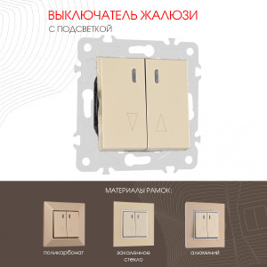 Выключатель Am-203 203.39-2.shampan