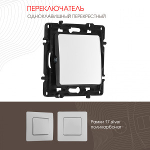 Выключатель Am-217 217.34-1.silver