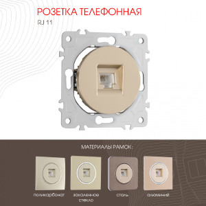 Розетка Am-202 202.51-1.shampan