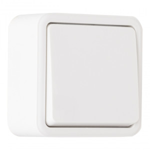 Выключатель Am-310 310.32-1.white