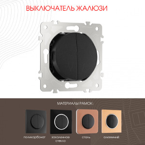Выключатель Am-202 202.38-2.black