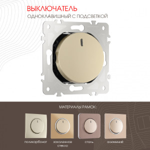 Выключатель Am-202 202.31-1.shampan