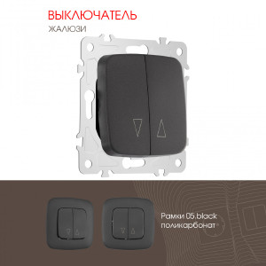 Выключатель Am-205 205.38-2.black