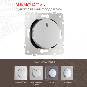 Выключатель Am-202 202.31-1.silver