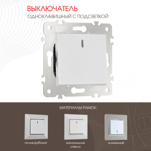 Выключатель Am-203 203.31-1.silver