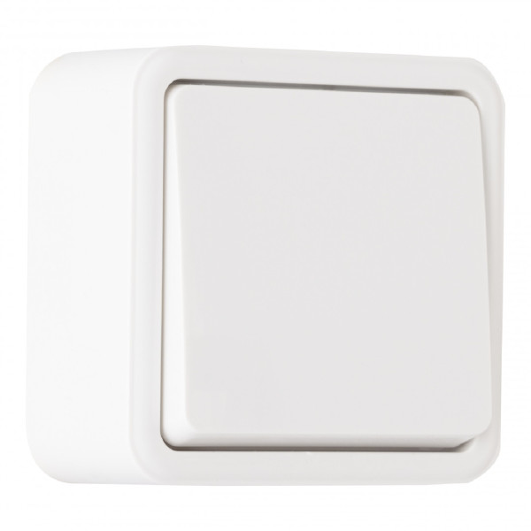 Выключатель Am-310 310.30-1.white