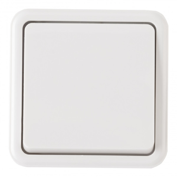 Выключатель Am-310 310.30-1.white