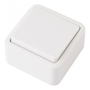 Выключатель Am-310 310.30-1.white