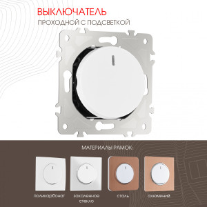 Выключатель Am-202 202.33-1.white