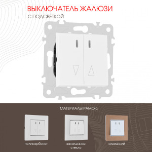 Выключатель Am-203 203.39-2.white