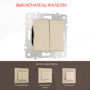 Выключатель Am-203 203.38-2.shampan