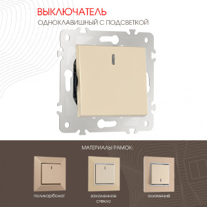 Выключатель Am-203 203.31-1.shampan