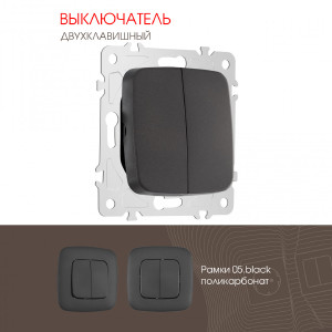 Выключатель Am-205 205.30-2.black
