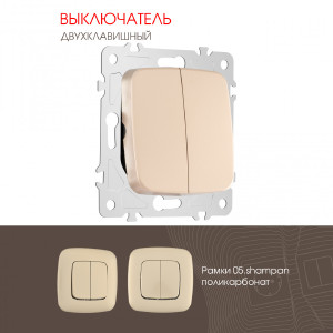 Выключатель Am-205 205.30-2.shampan