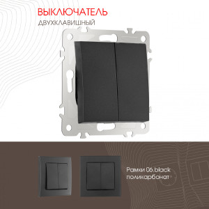 Выключатель Am-206 206.30-2.black