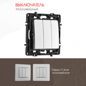 Выключатель Am-217 217.30-3.silver