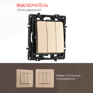 Выключатель Am-217 217.30-3.shampan