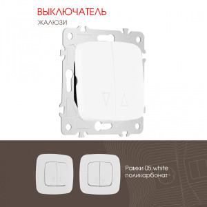 Выключатель Am-205 205.38-2.white