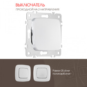 Выключатель Am-205 205.32-1.silver