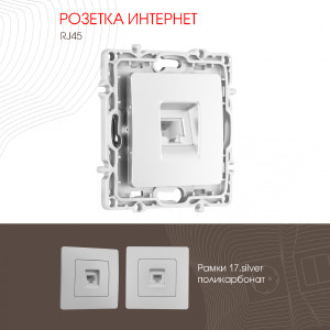 Розетка Am-217 217.45-1.silver