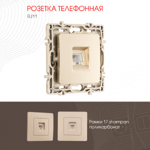 Розетка Am-217 217.51-1.shampan