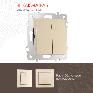 Выключатель Am-206 206.30-2.shampan