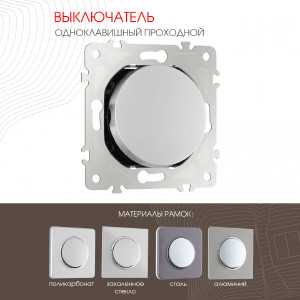 Выключатель Am-202 202.32-1.silver