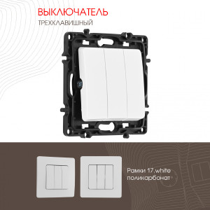Выключатель Am-217 217.30-3.white