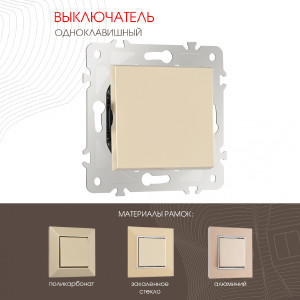 Выключатель Am-203 203.30-1.shampan