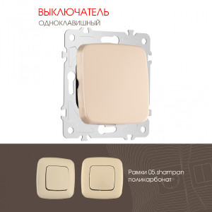 Выключатель Am-205 205.30-1.shampan