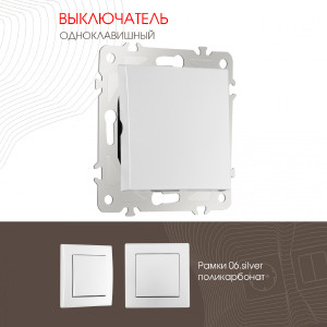 Выключатель Am-206 206.30-1.silver