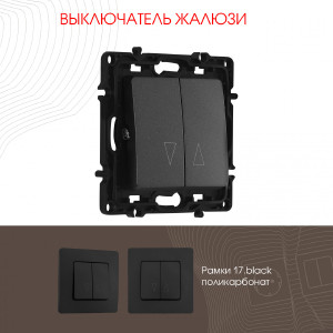 Выключатель Am-217 217.38-2.black