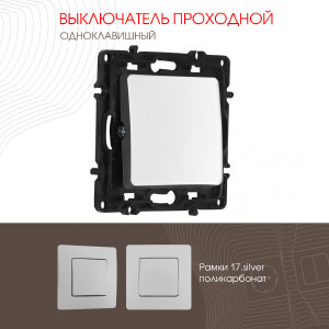 Выключатель Am-217 217.32-1.silver