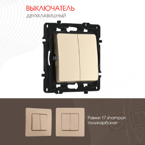 Выключатель Am-217 217.30-2.shampan