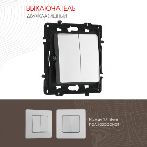 Выключатель Am-217 217.30-2.silver