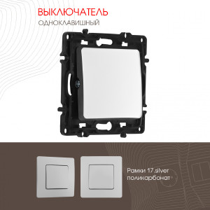 Выключатель Am-217 217.30-1.silver