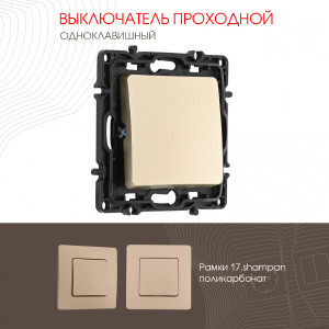 Выключатель Am-217 217.32-1.shampan