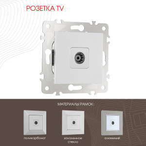 Розетка Am-203 203.43-1.silver
